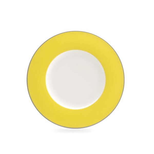 Contempo Amarillo 22.5cm Plate