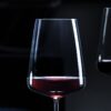 Muse Burgundy Red Wine Glass Set of 6 (800ml)