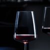 Muse Red Wine Glass Set of 6 (545ml)