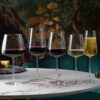 Muse Champagne Flute 295ml (1pce) - Image 5